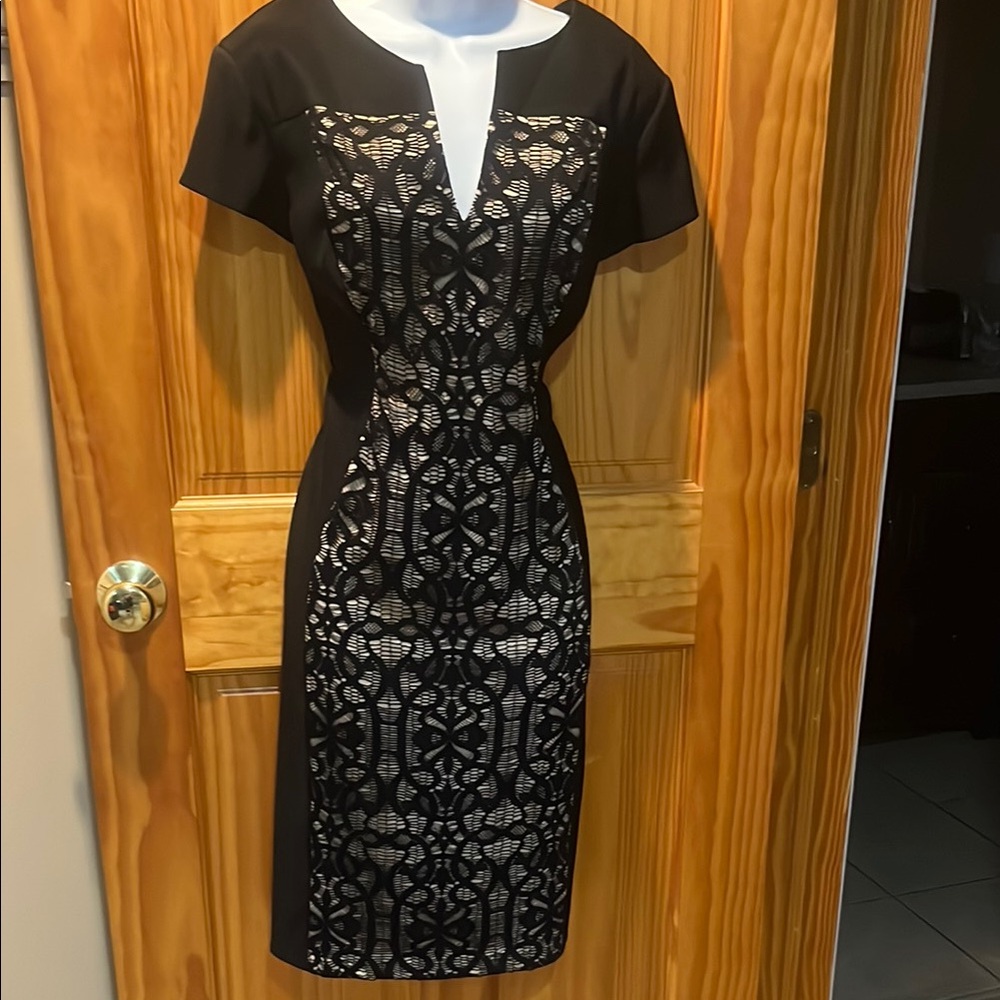 Collection Dressbarn Black & Tan Lace Front Dress